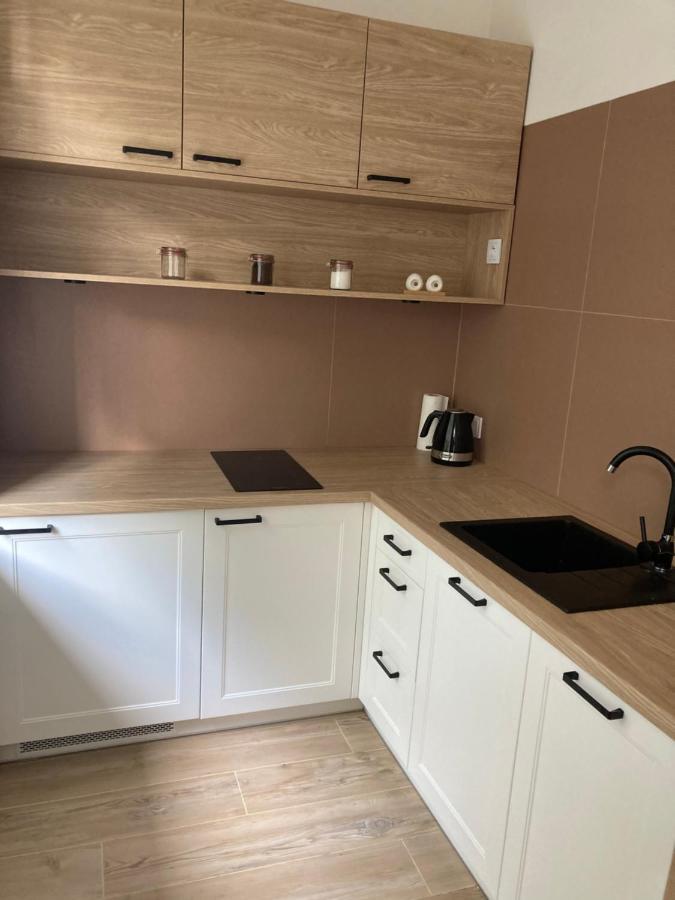 Apartament Grzaniec Шклярска Поремба Екстериор снимка